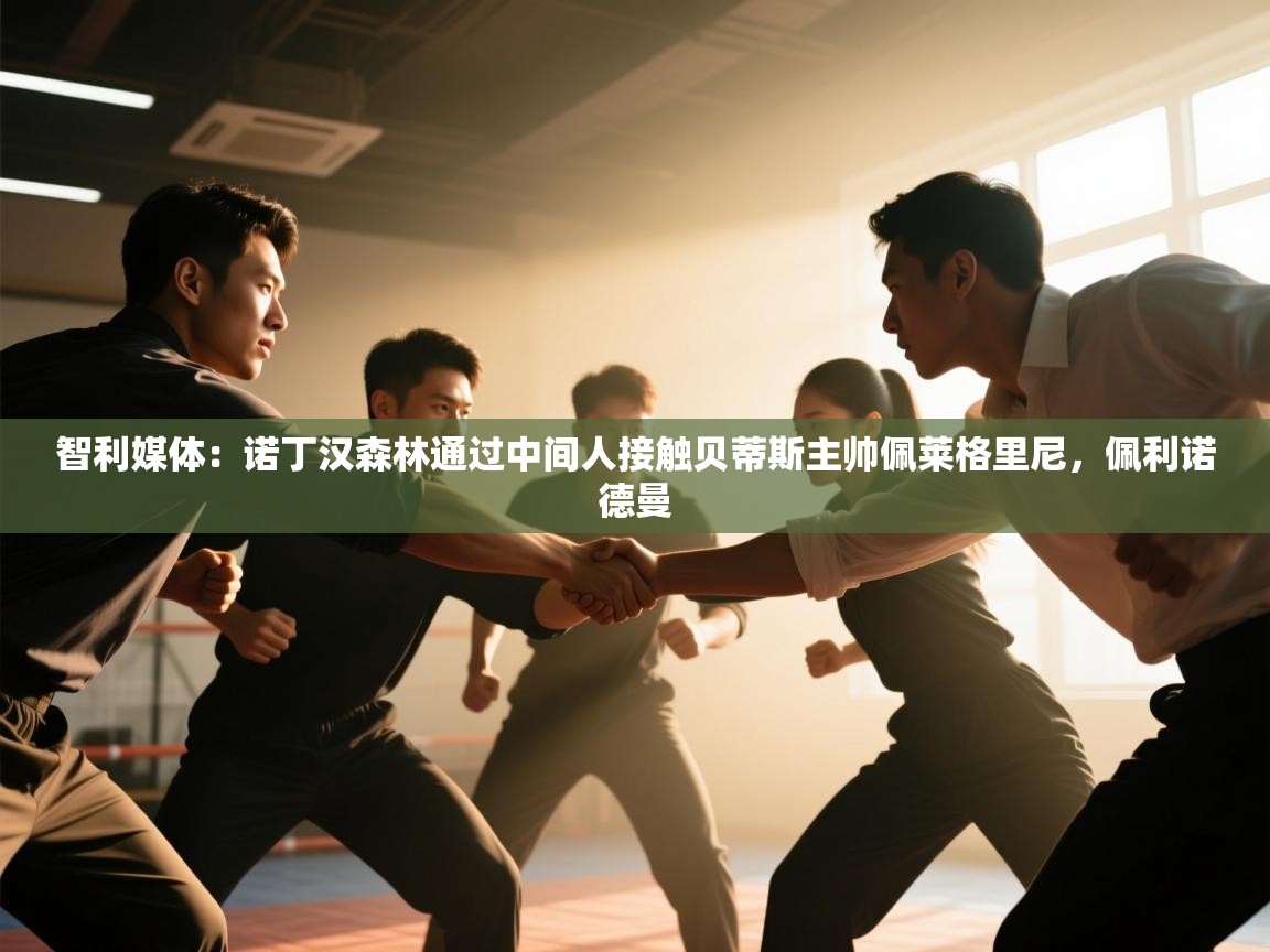 开云体育入口邀请码-智利媒体：诺丁汉森林通过中间人接触贝蒂斯主帅佩莱格里尼，佩利诺德曼  第4张