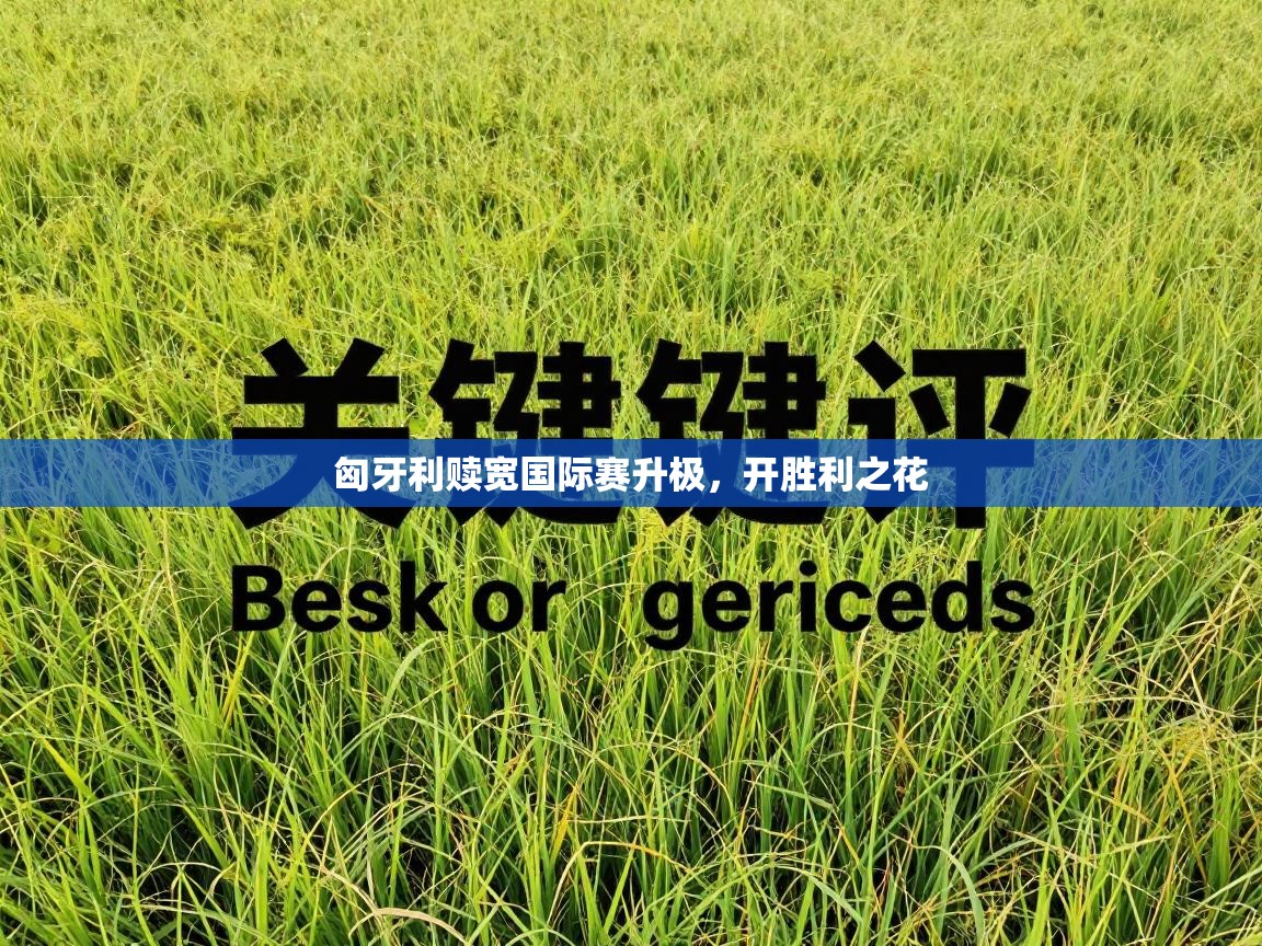 kaiyun开运·体育官方网站-匈牙利赎宽国际赛升极，开胜利之花  第1张