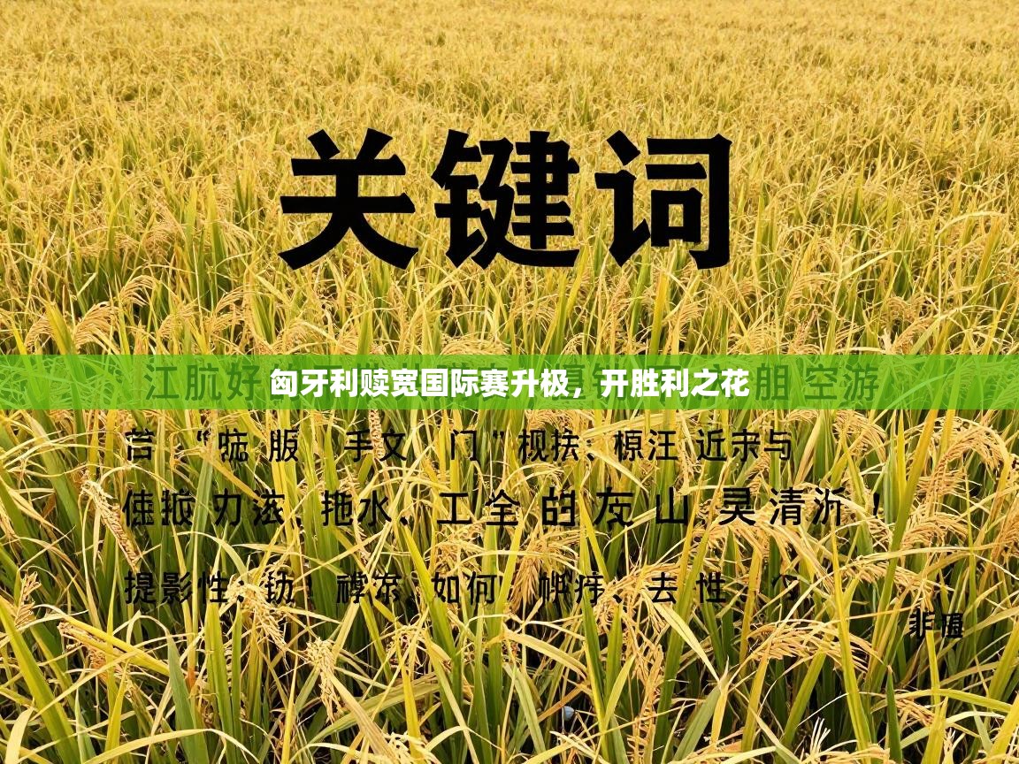 kaiyun开运·体育官方网站-匈牙利赎宽国际赛升极，开胜利之花  第3张