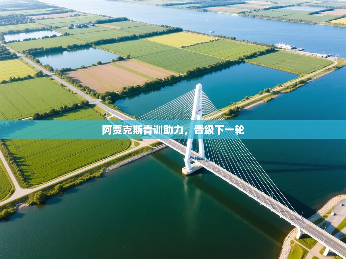 云开体育app网页版入口-阿贾克斯青训助力，晋级下一轮  第1张