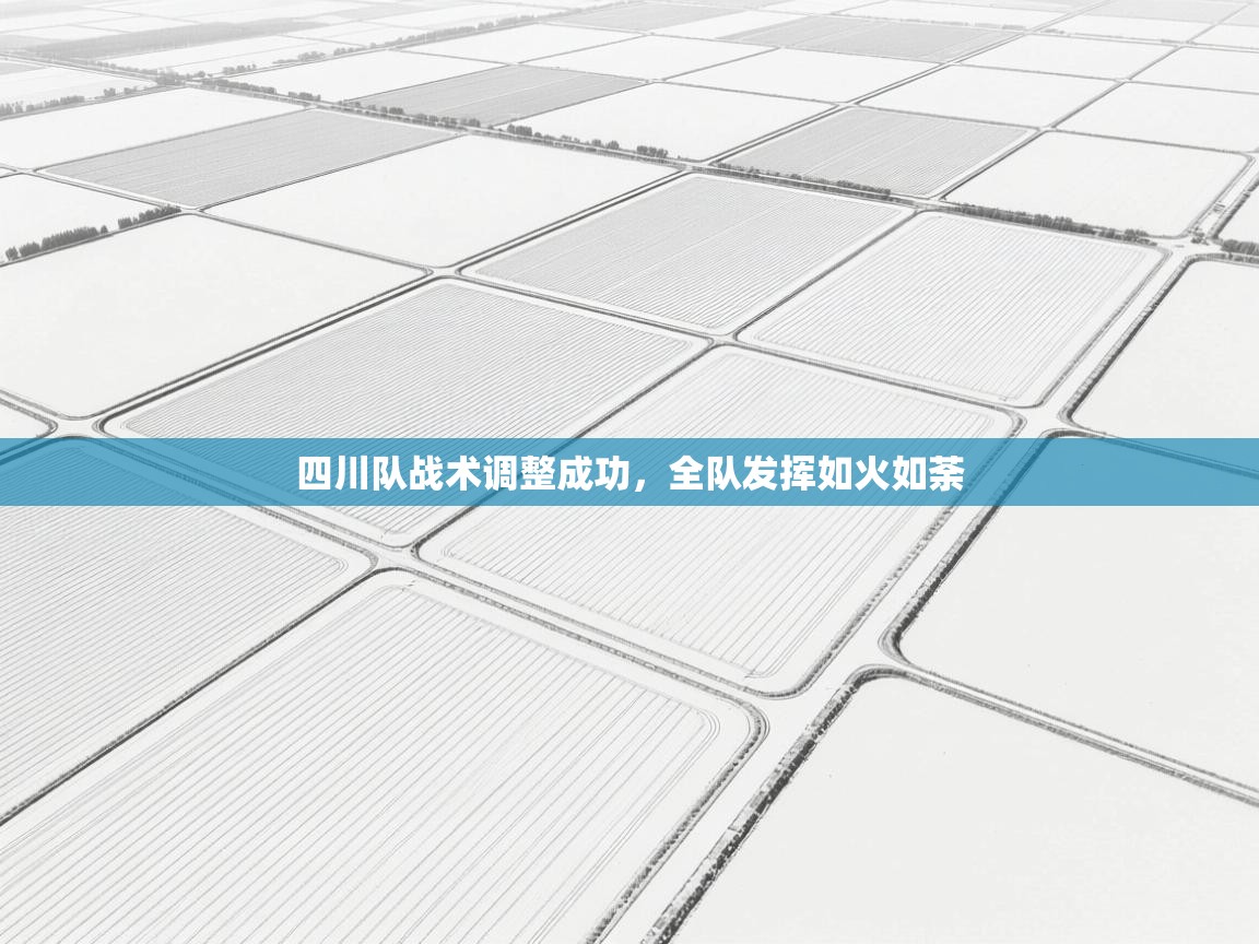 开云体育入口平台-四川队战术调整成功，全队发挥如火如荼  第3张