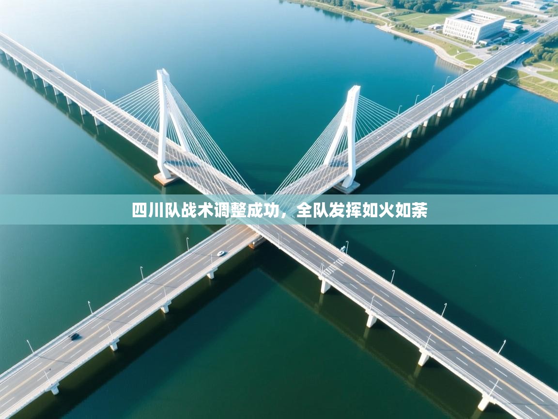 开云体育入口平台-四川队战术调整成功，全队发挥如火如荼  第4张