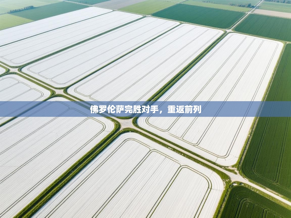 开云体育app下载入口-佛罗伦萨完胜对手，重返前列  第3张