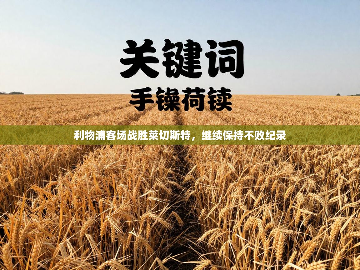 开云官网-利物浦客场战胜莱切斯特，继续保持不败纪录  第2张