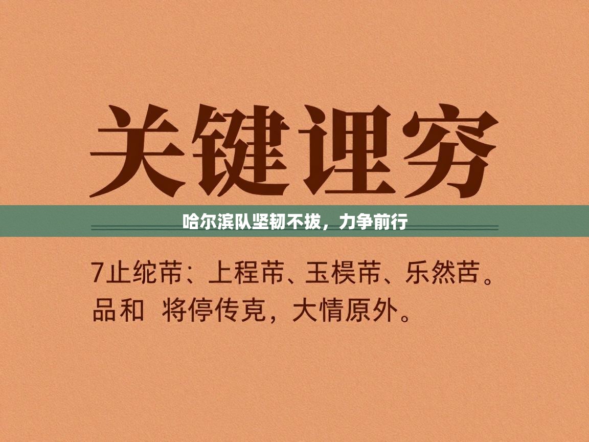 开云体育app安装-哈尔滨队坚韧不拔，力争前行  第4张