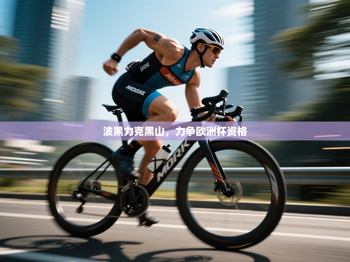 开云入口-波黑力克黑山，力争欧洲杯资格  第2张