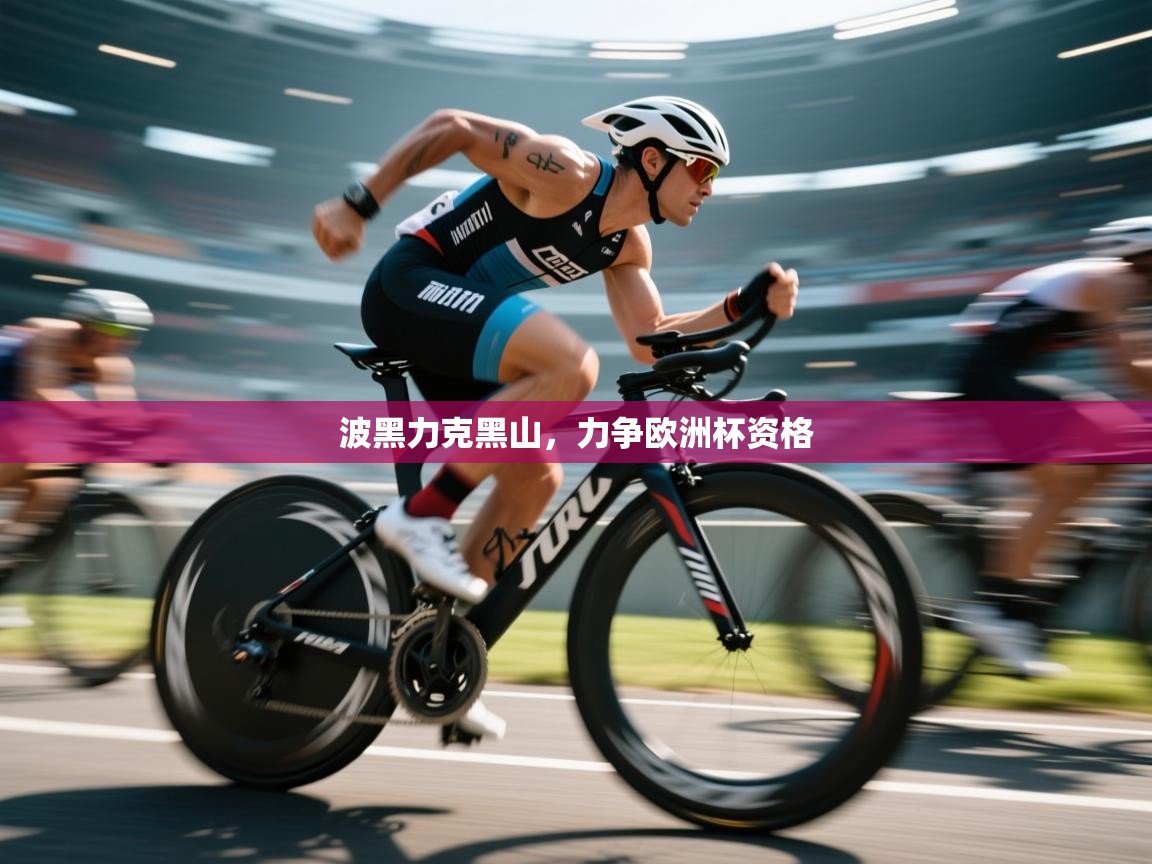 开云入口-波黑力克黑山，力争欧洲杯资格  第4张