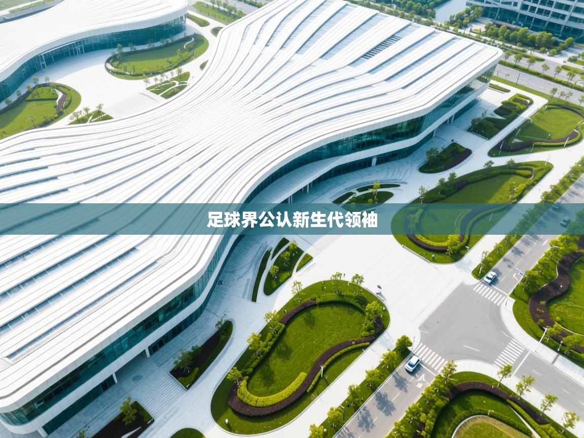 开云体育在线入口-足球界公认新生代领袖  第2张