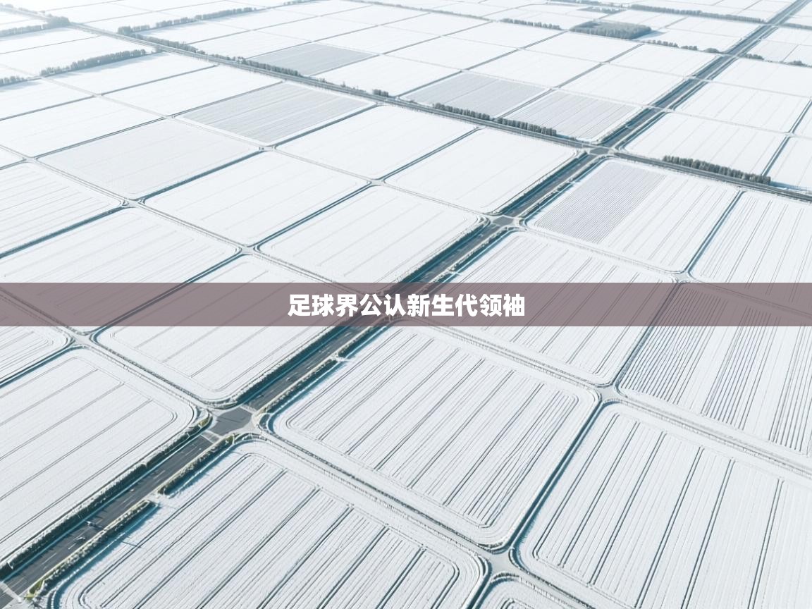 开云体育在线入口-足球界公认新生代领袖  第1张