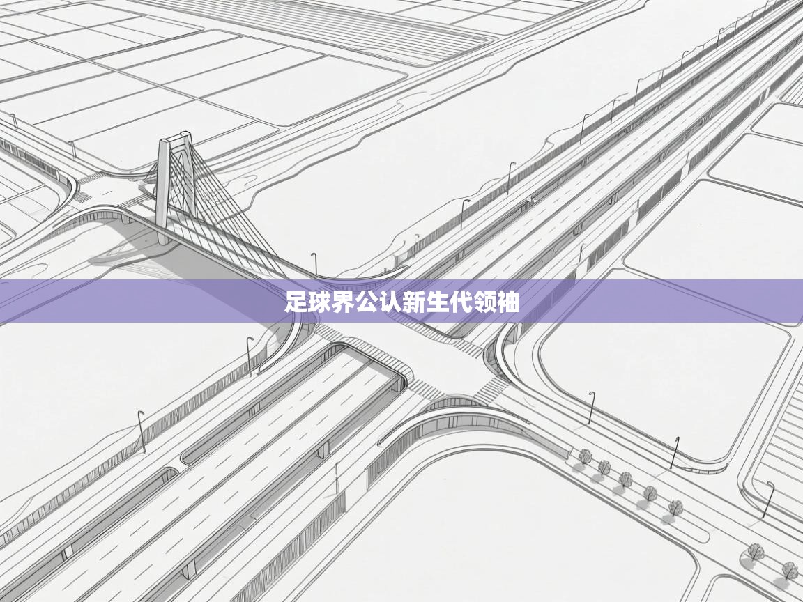 开云体育在线入口-足球界公认新生代领袖  第4张