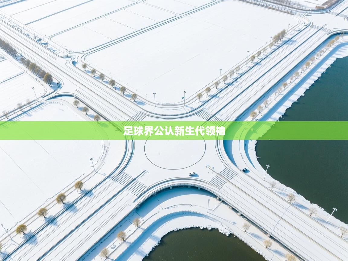 开云体育在线入口-足球界公认新生代领袖  第3张