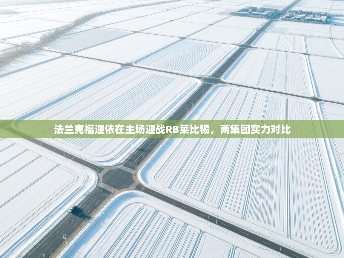 开云体育VIP权益说明-法兰克福迎依在主场迎战RB莱比锡，两集团实力对比  第3张