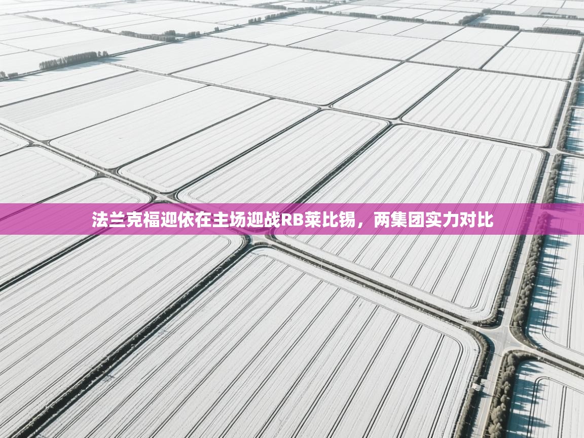 开云体育VIP权益说明-法兰克福迎依在主场迎战RB莱比锡，两集团实力对比  第4张