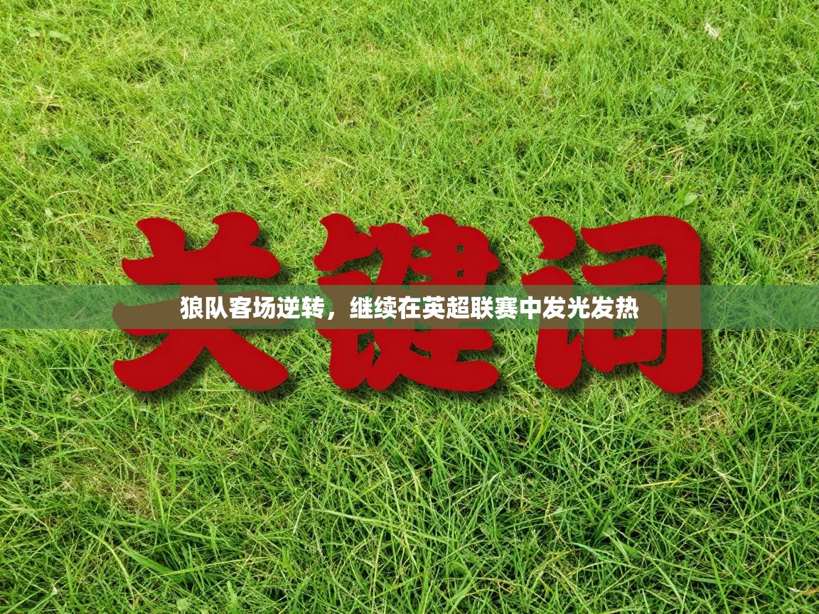 开云体育app下载安卓-狼队客场逆转,继续在英超联赛中发光发热 第4张