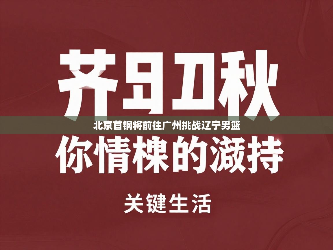 开云体育会员VIP开通-北京首钢将前往广州挑战辽宁男篮  第4张